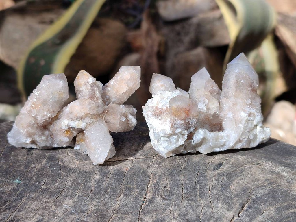 Natural Fairy Spirit Quartz Clusters x 12 From Boekenhouthoek, South Africa - Toprock Gemstones and Minerals 