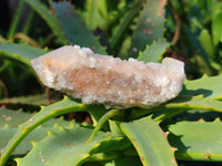 Natural Fairy Spirit Quartz Clusters x 12 From Boekenhouthoek, South Africa