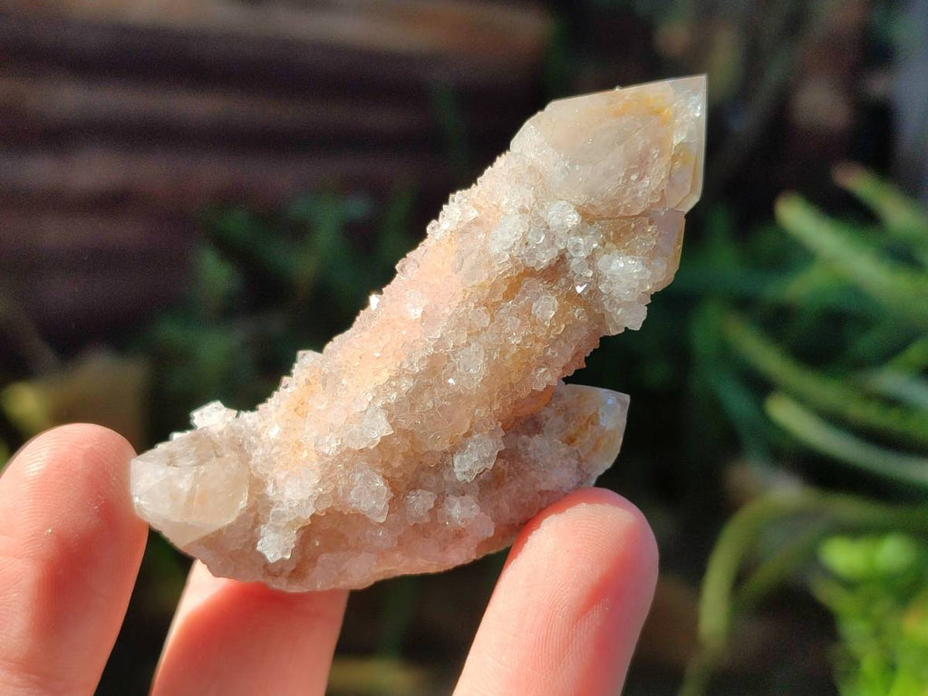 Natural Fairy Spirit Quartz Clusters x 12 From Boekenhouthoek, South Africa - Toprock Gemstones and Minerals 