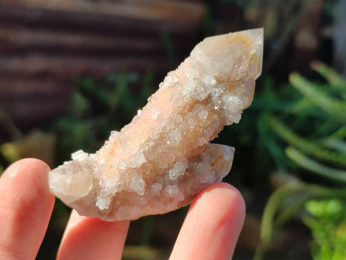 Natural Fairy Spirit Quartz Clusters x 12 From Boekenhouthoek, South Africa - Toprock Gemstones and Minerals 