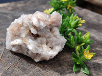 Natural Fairy Spirit Quartz Clusters x 12 From Boekenhouthoek, South Africa