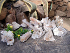 Natural Fairy Spirit Quartz Clusters x 12 From Boekenhouthoek, South Africa - Toprock Gemstones and Minerals 