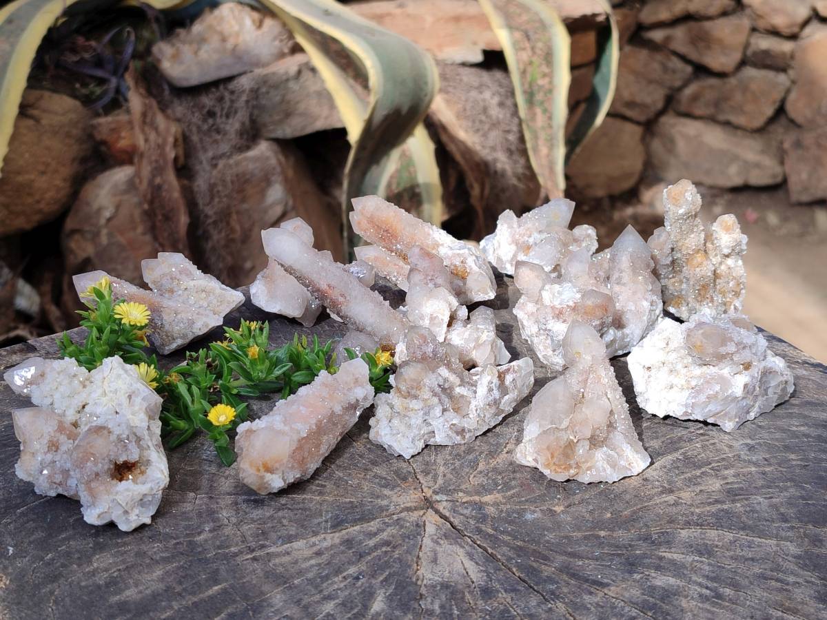 Natural Fairy Spirit Quartz Clusters x 12 From Boekenhouthoek, South Africa - Toprock Gemstones and Minerals 
