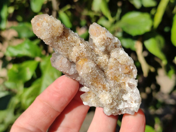 Natural Fairy Spirit Quartz Clusters x 12 From Boekenhouthoek, South Africa
