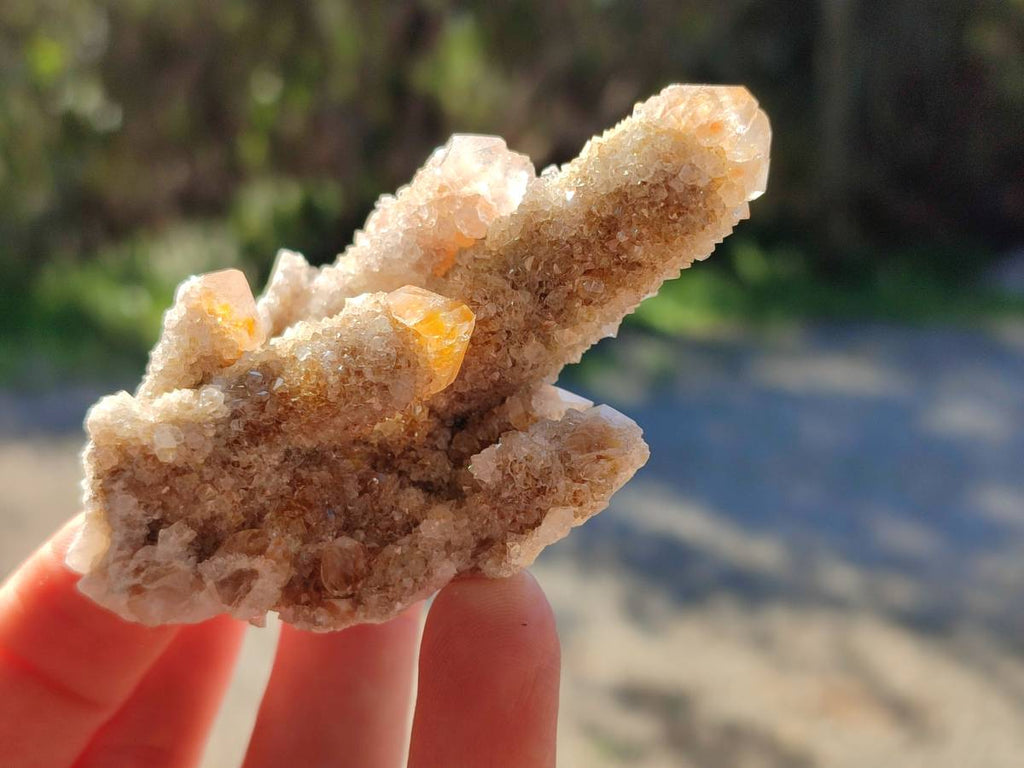 Natural Fairy Spirit Quartz Clusters x 12 From Boekenhouthoek, South Africa - Toprock Gemstones and Minerals 