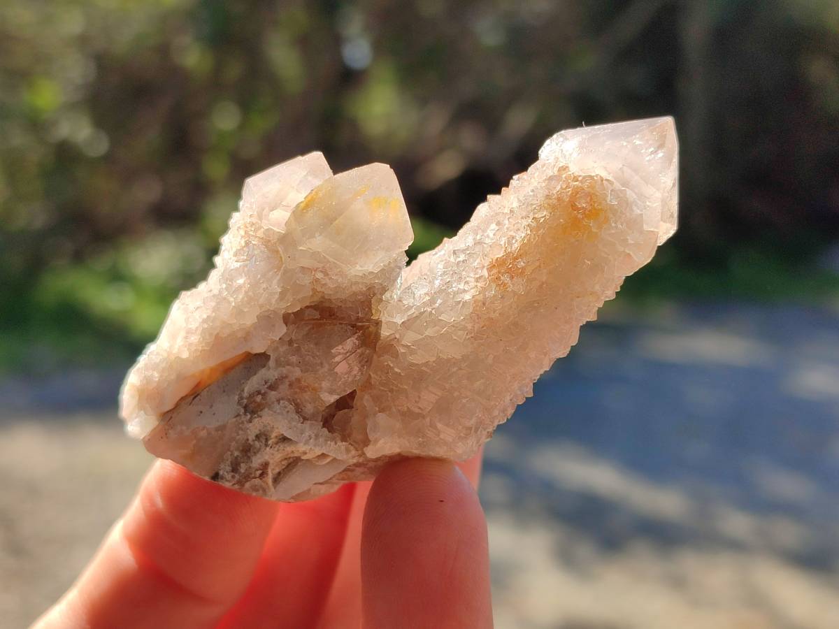 Natural Fairy Spirit Quartz Clusters x 12 From Boekenhouthoek, South Africa - Toprock Gemstones and Minerals 