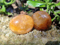Polished Golden Healer Quartz Palm Stones x 17 From Madagascar