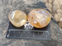 Polished Golden Healer Quartz Palm Stones x 17 From Madagascar