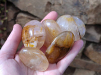 Polished Golden Healer Quartz Palm Stones x 17 From Madagascar