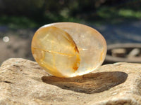 Polished Golden Healer Quartz Palm Stones x 17 From Madagascar