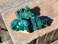 Natural Dioptase on Dolomite Matrix Specimens x 22 From Likasi, Congo