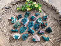 Natural Dioptase on Dolomite Matrix Specimens x 22 From Likasi, Congo