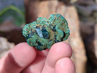 Natural Dioptase on Dolomite Matrix Specimens x 22 From Likasi, Congo