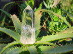 Polished Clear Quartz Crystals x 13 From Madagascar - Toprock Gemstones and Minerals 