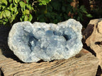 Natura Celestite Geode Specimen x 1 From Sakoany, Madagascar - Toprock Gemstones and Minerals 