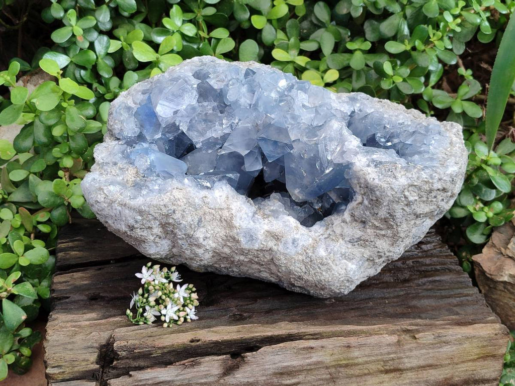 Natura Celestite Geode Specimen x 1 From Sakoany, Madagascar - Toprock Gemstones and Minerals 