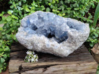 Natura Celestite Geode Specimen x 1 From Sakoany, Madagascar - Toprock Gemstones and Minerals 