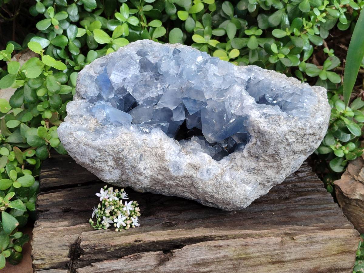 Natura Celestite Geode Specimen x 1 From Sakoany, Madagascar - Toprock Gemstones and Minerals 