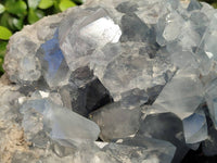 Natura Celestite Geode Specimen x 1 From Sakoany, Madagascar