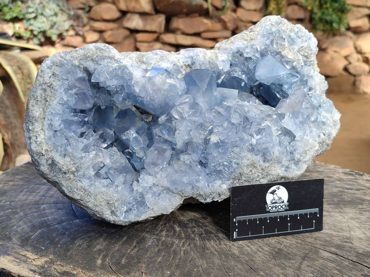 Natura Celestite Geode Specimen x 1 From Sakoany, Madagascar - Toprock Gemstones and Minerals 