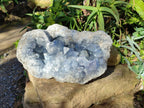 Natura Celestite Geode Specimen x 1 From Sakoany, Madagascar - Toprock Gemstones and Minerals 