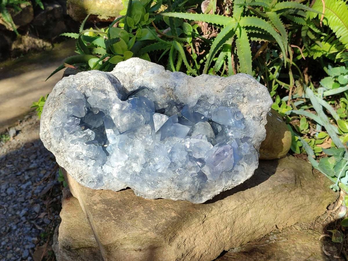 Natura Celestite Geode Specimen x 1 From Sakoany, Madagascar - Toprock Gemstones and Minerals 