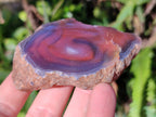 Polished On One Side Red Sashe River Agate Nodules x 12 From Zimbabwe - Toprock Gemstones and Minerals 