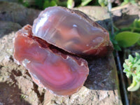 Polished On One Side Red Sashe River Agate Nodules x 12 From Zimbabwe - Toprock Gemstones and Minerals 