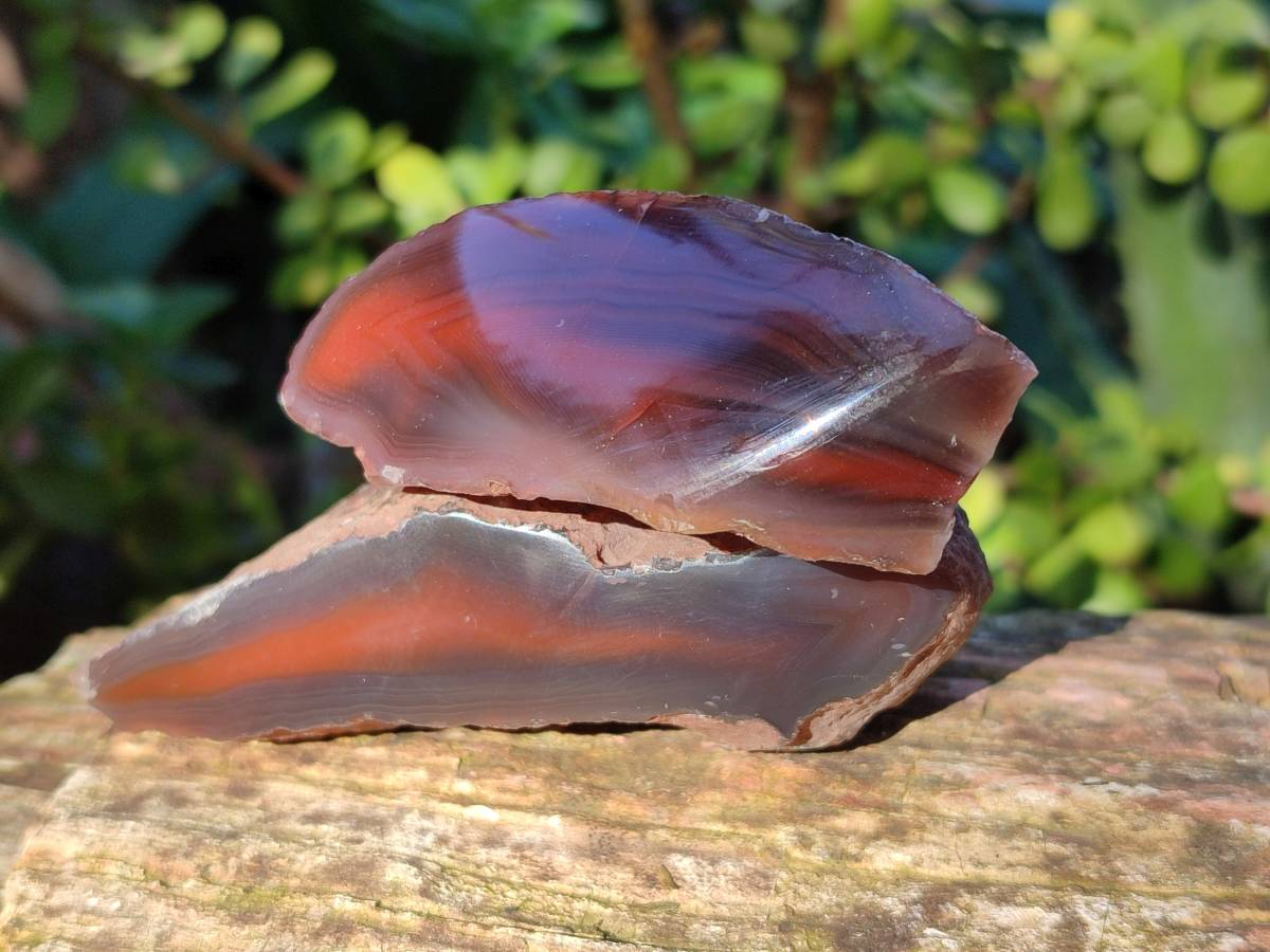 Polished On One Side Red Sashe River Agate Nodules x 12 From Zimbabwe - Toprock Gemstones and Minerals 
