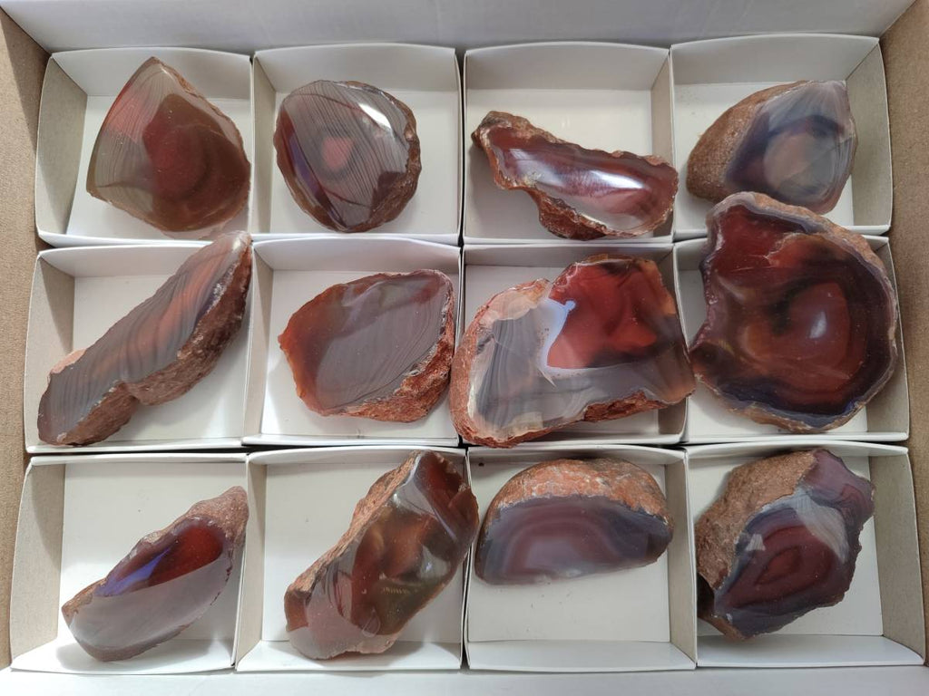 Polished On One Side Red Sashe River Agate Nodules x 12 From Zimbabwe - Toprock Gemstones and Minerals 
