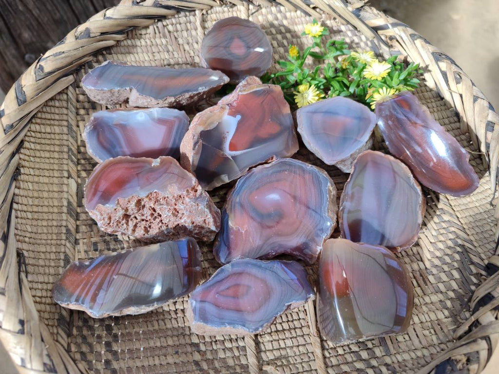 Polished On One Side Red Sashe River Agate Nodules x 12 From Zimbabwe - Toprock Gemstones and Minerals 