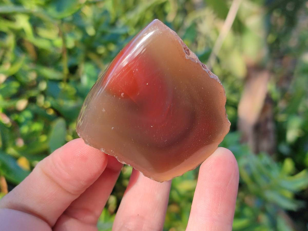 Polished On One Side Red Sashe River Agate Nodules x 12 From Zimbabwe - Toprock Gemstones and Minerals 