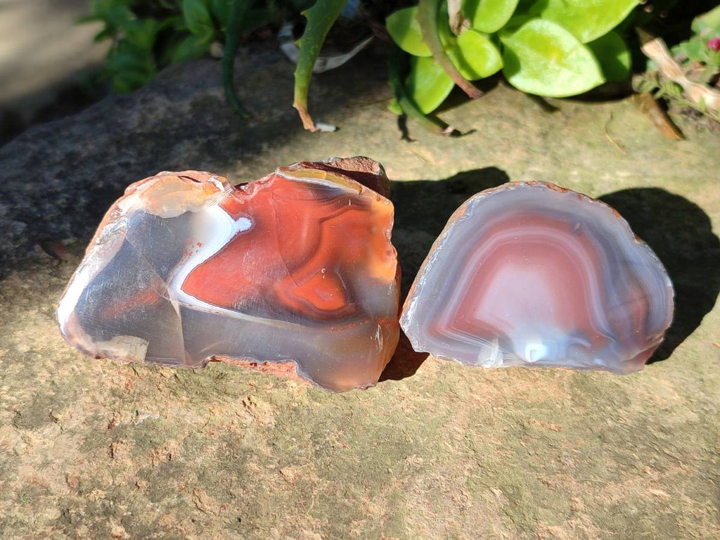 Polished On One Side Red Sashe River Agate Nodules x 12 From Zimbabwe - Toprock Gemstones and Minerals 