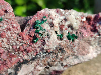 Natural Drusy Salrose on Dolomite Matrix Specimens x 3 From Kakanda, Congo