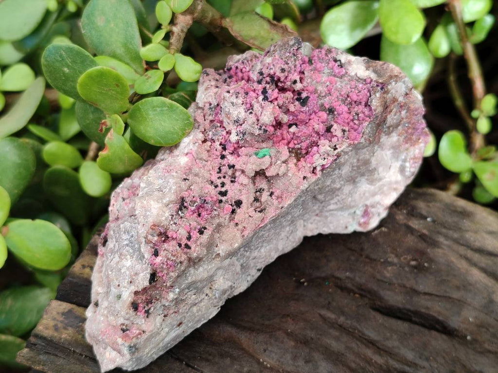 Natural Drusy Salrose on Dolomite Matrix Specimens x 3 From Kakanda, Congo - Toprock Gemstones and Minerals 