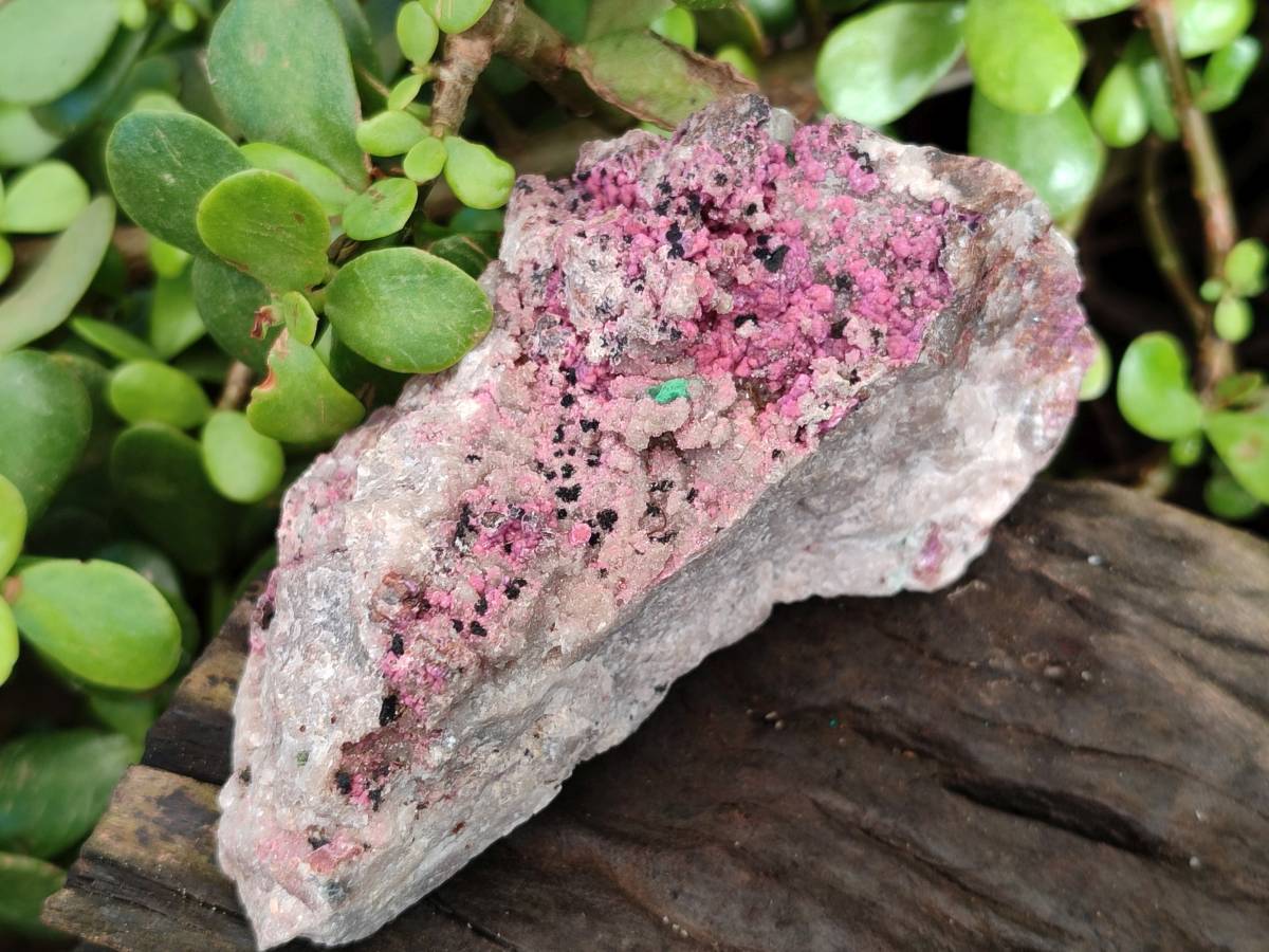Natural Drusy Salrose on Dolomite Matrix Specimens x 3 From Kakanda, Congo - Toprock Gemstones and Minerals 