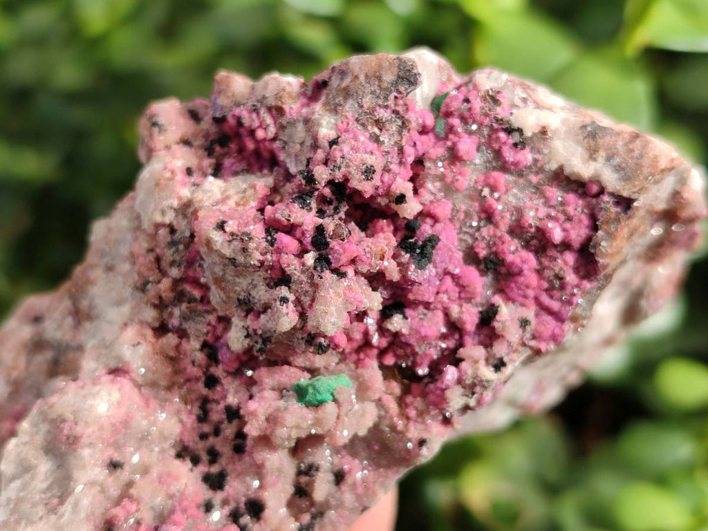 Natural Drusy Salrose on Dolomite Matrix Specimens x 3 From Kakanda, Congo - Toprock Gemstones and Minerals 