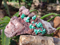 Natural Drusy Salrose on Dolomite Matrix Specimens x 3 From Kakanda, Congo