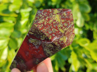 Polished Double Terminated Bastite Dragons Blood Stone Points x 4 From Tshipise, South Africa - Toprock Gemstones and Minerals 