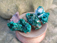 Natural Dioptase on Dolomite Matrix Specimens x 16 From Likasi, Congo