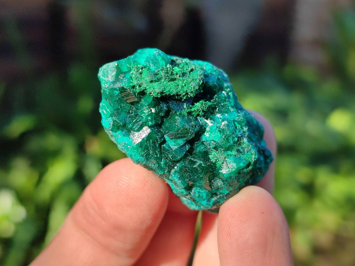 Natural Dioptase on Dolomite Matrix Specimens x 16 From Likasi, Congo - Toprock Gemstones and Minerals 