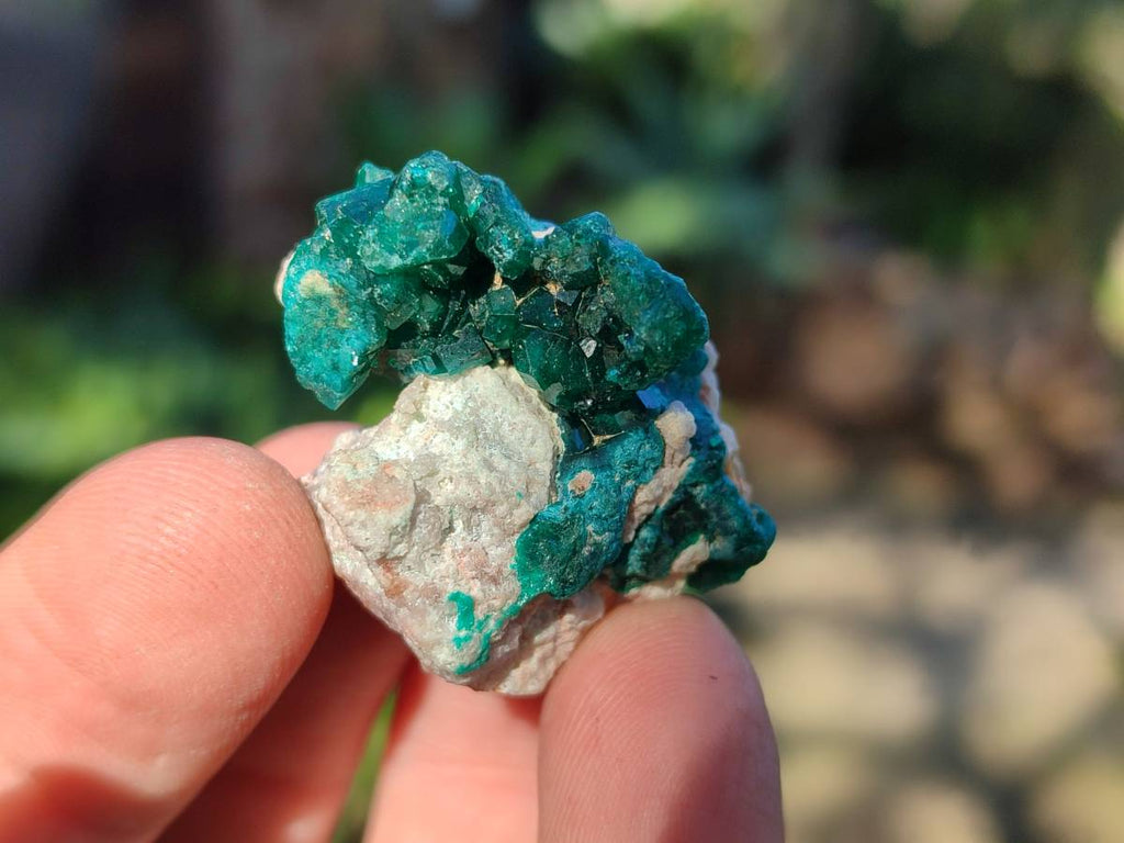 Natural Dioptase on Dolomite Matrix Specimens x 16 From Likasi, Congo - Toprock Gemstones and Minerals 