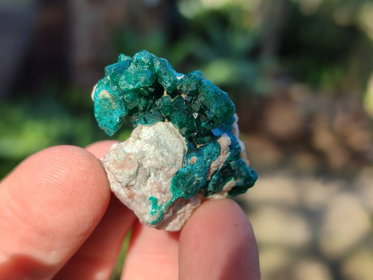 Natural Dioptase on Dolomite Matrix Specimens x 16 From Likasi, Congo - Toprock Gemstones and Minerals 