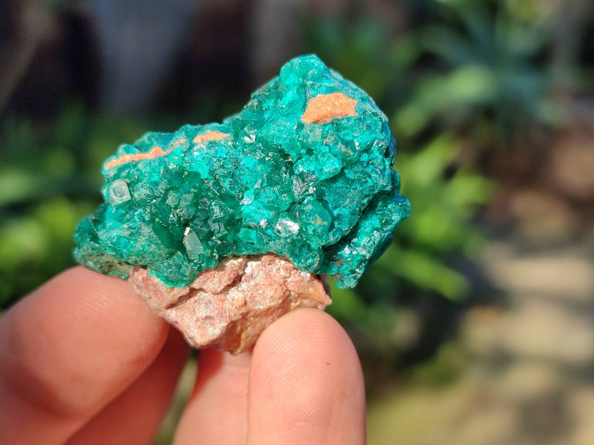 Natural Dioptase on Dolomite Matrix Specimens x 16 From Likasi, Congo - Toprock Gemstones and Minerals 