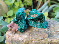Natural Dioptase on Dolomite Matrix Specimens x 16 From Likasi, Congo