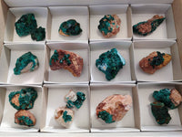 Natural Dioptase on Dolomite Matrix Specimens x 16 From Likasi, Congo