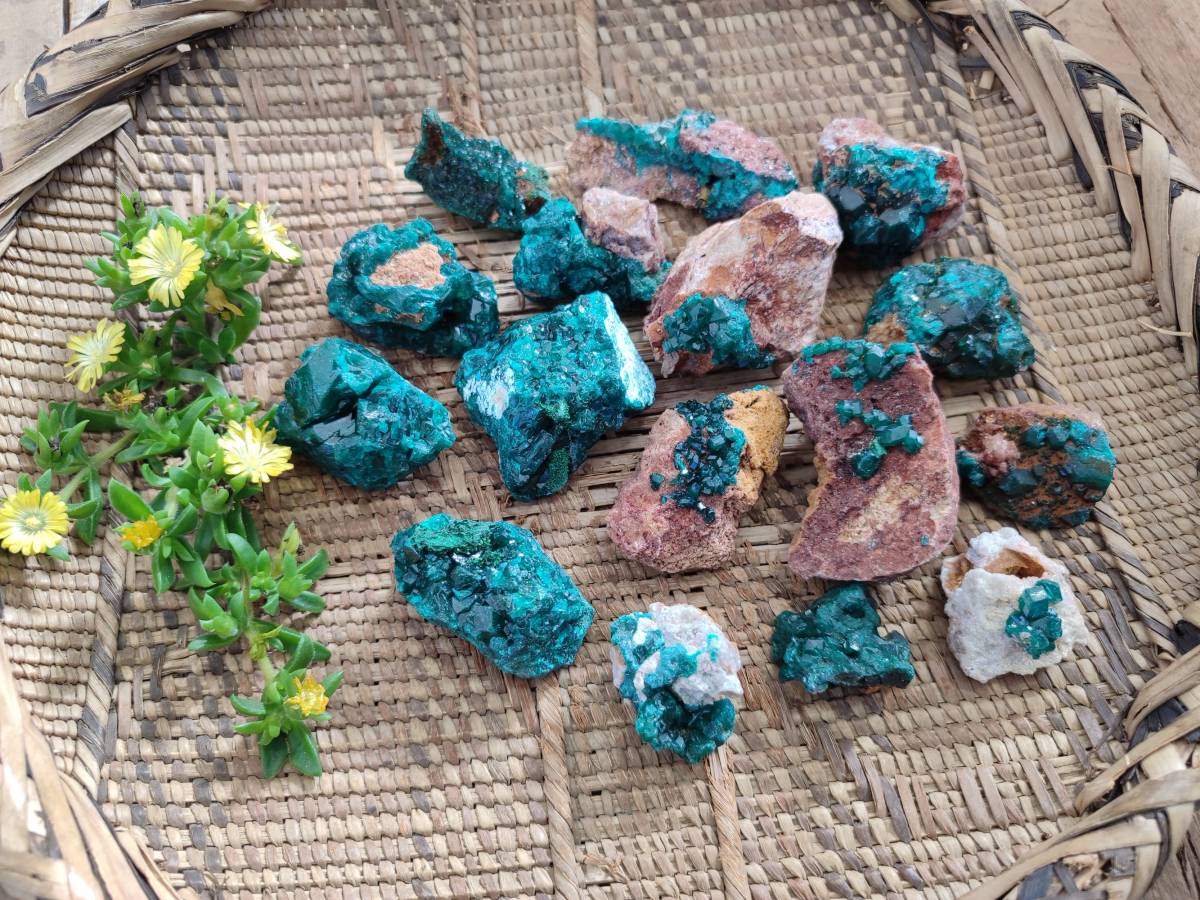 Natural Dioptase on Dolomite Matrix Specimens x 16 From Likasi, Congo - Toprock Gemstones and Minerals 