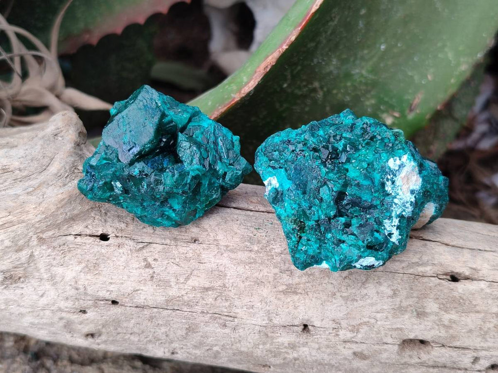 Natural Dioptase on Dolomite Matrix Specimens x 16 From Likasi, Congo - Toprock Gemstones and Minerals 