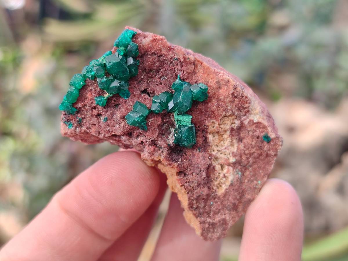 Natural Dioptase on Dolomite Matrix Specimens x 16 From Likasi, Congo - Toprock Gemstones and Minerals 