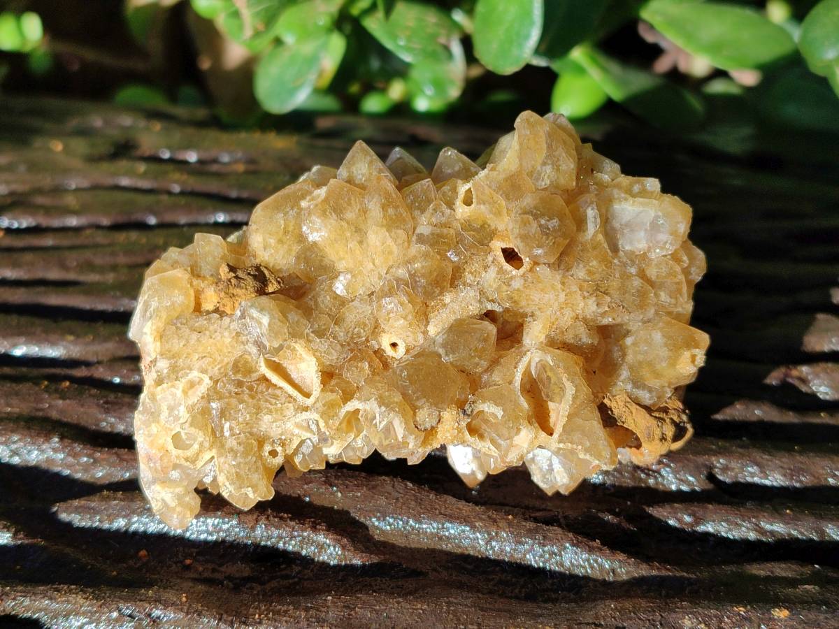 Natural Golden Limonite Quartz Clusters x 12 From Solwezi, Zambia - Toprock Gemstones and Minerals 
